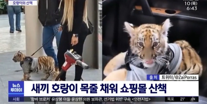 최시원 과거 좋아하는 인물 논란 해명과 이해하는 입장.jpg | 인스티즈