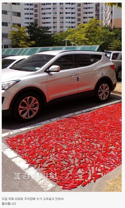 아파트주차장 민폐갑 | 인스티즈