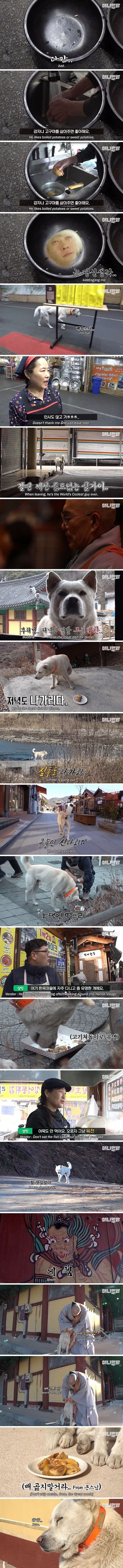 스님의 동물학대... | 인스티즈