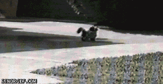 딱기다려라 본캐로옴.gif | 인스티즈