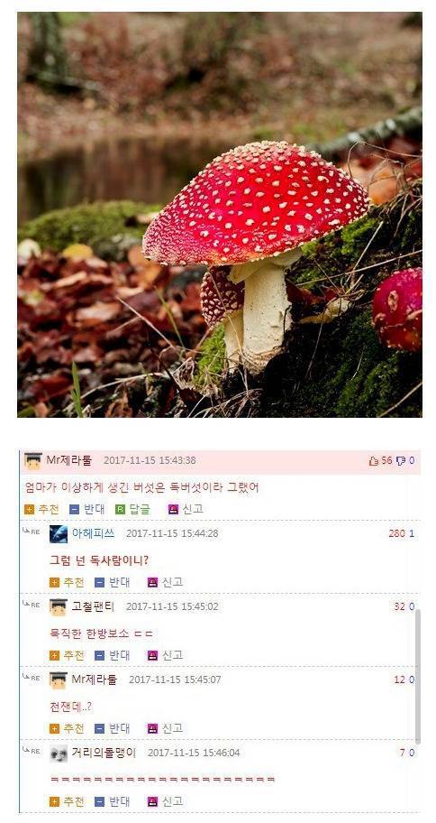 뭐든지 먹는 베어그릴스가 자연에서 유일하게 안 먹는거 | 인스티즈