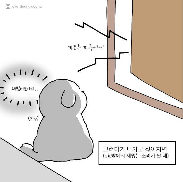 주인을 보호하기 위해 댕댕이가 하는 행동....jpg | 인스티즈