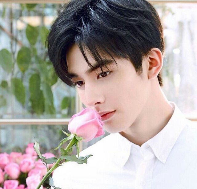 차은우와 같이 사진 찍어줬으면 싶은 중국 남자배우들 | 인스티즈