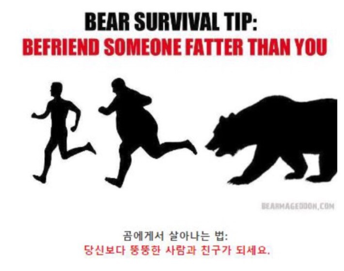 길가다 곰과 마주쳤을시 대처법 | 인스티즈