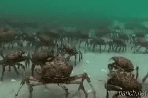 강당에 들어가는 예비군들.gif | 인스티즈