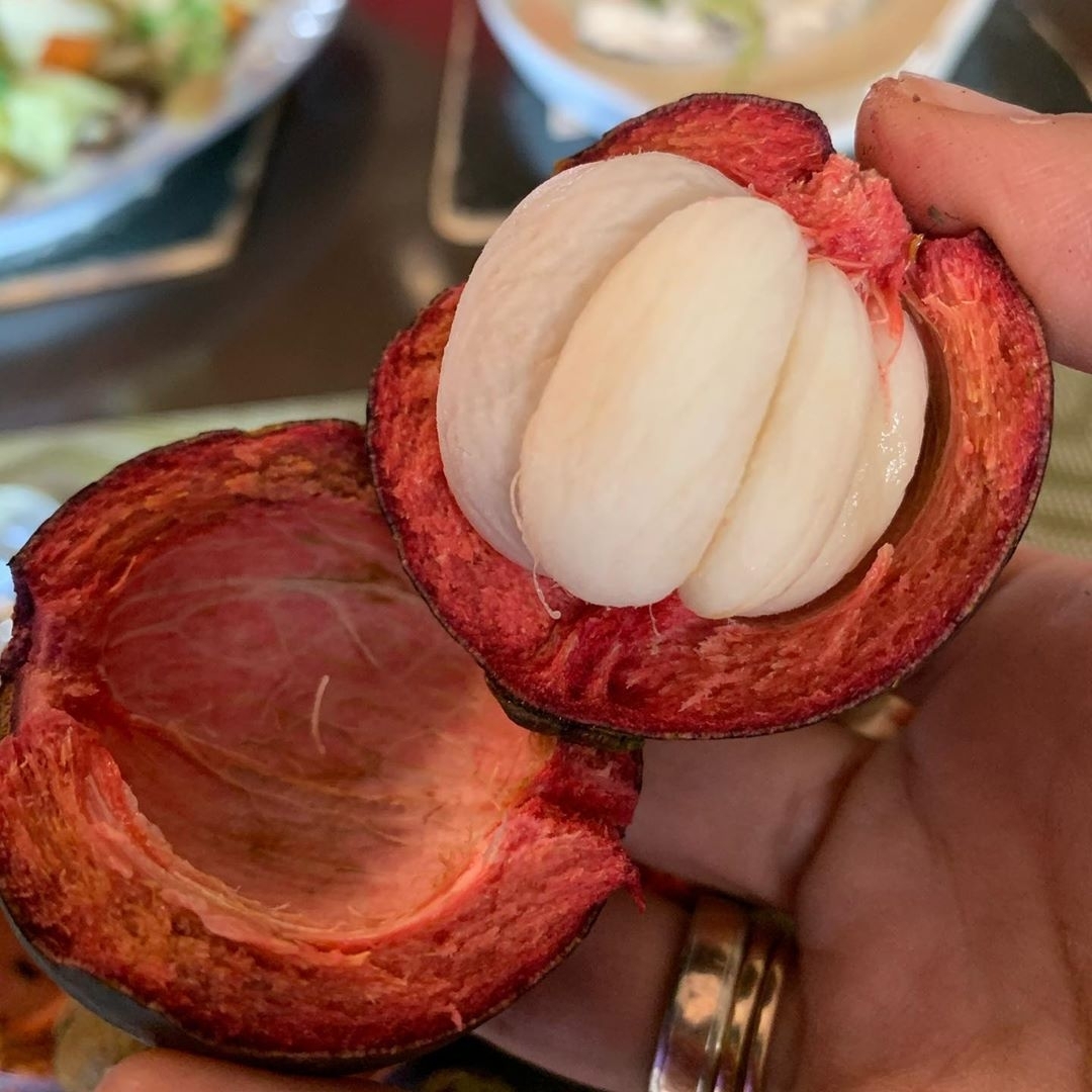 마늘처럼 생겼다는 과일.........jpg | 인스티즈