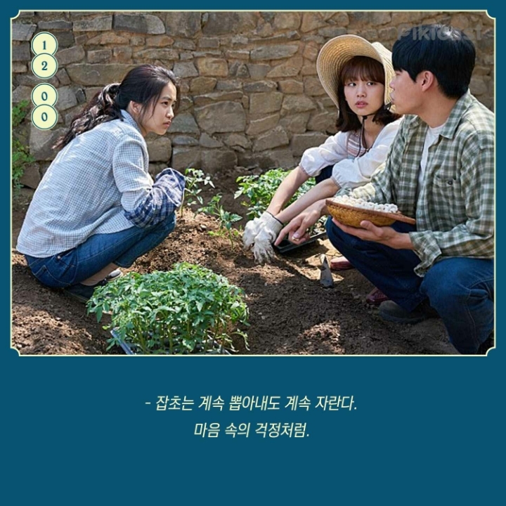 리틀포레스트 명대사들 | 인스티즈