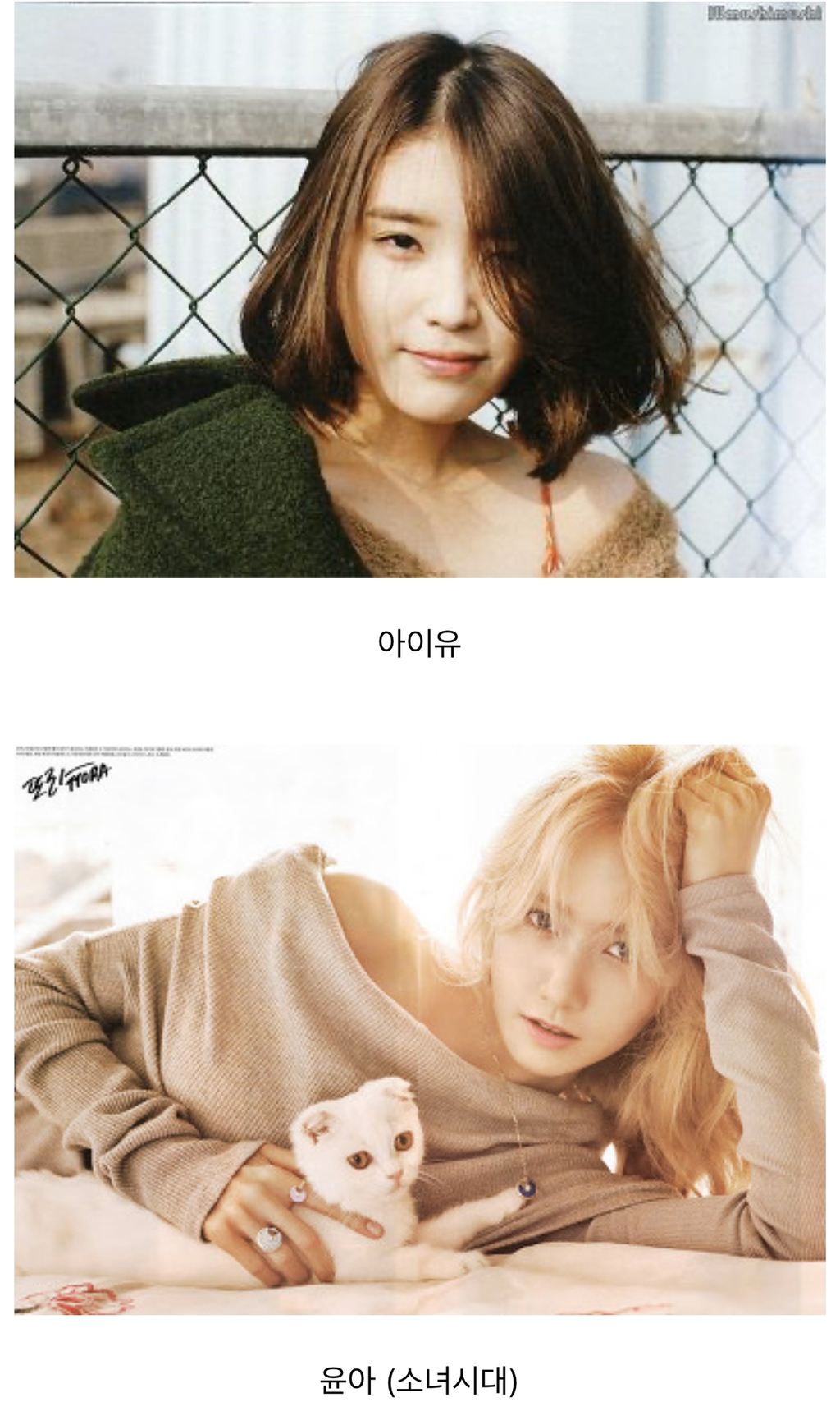 이상순 휴대폰에 저장 되어있는 여자 연예인.jpg | 인스티즈