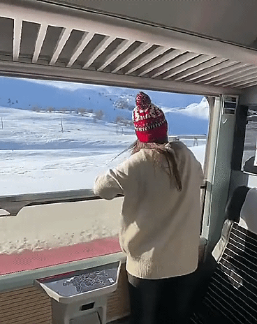 스위스의 흔한 기차 밖 풍경.gif | 인스티즈