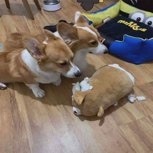 역지사지 | 인스티즈