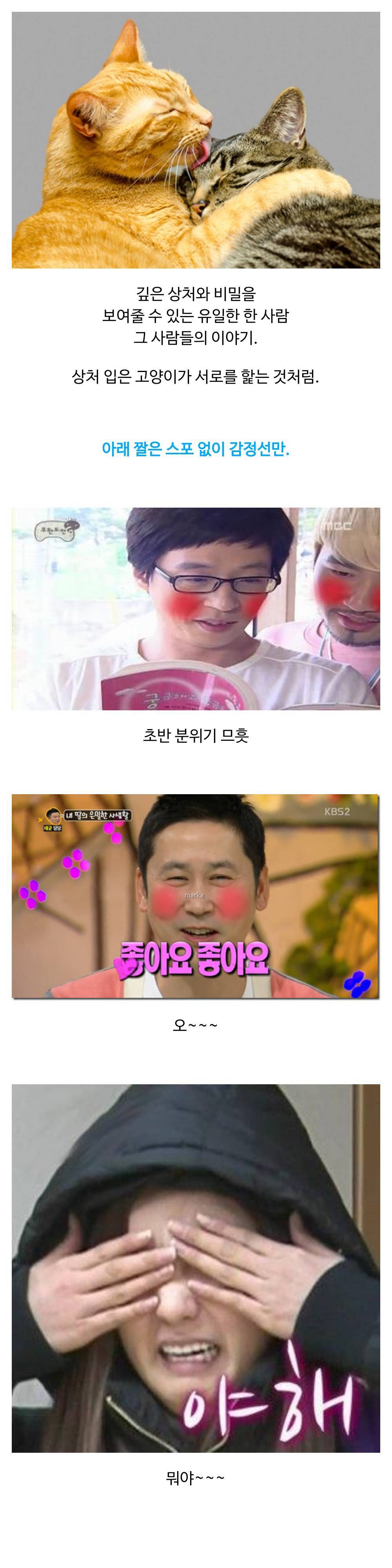 짤방으로 리뷰하는 소설.jpg | 인스티즈