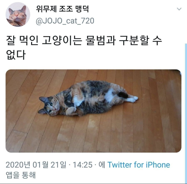 한국에서 물범 기르는 사람 | 인스티즈