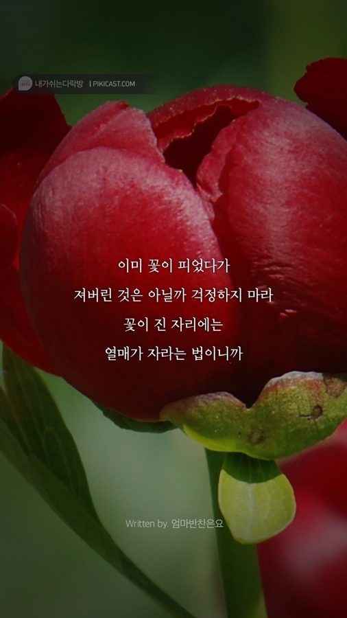 자신을 더 사랑하고싶은 당신이 읽어야할 글 | 인스티즈