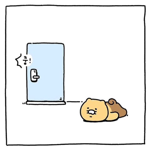 새로 공개된 카카오 프렌즈 캐릭터 | 인스티즈