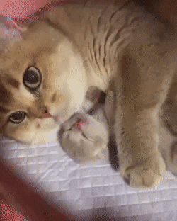 사랑이 느껴지는 짤.gif | 인스티즈