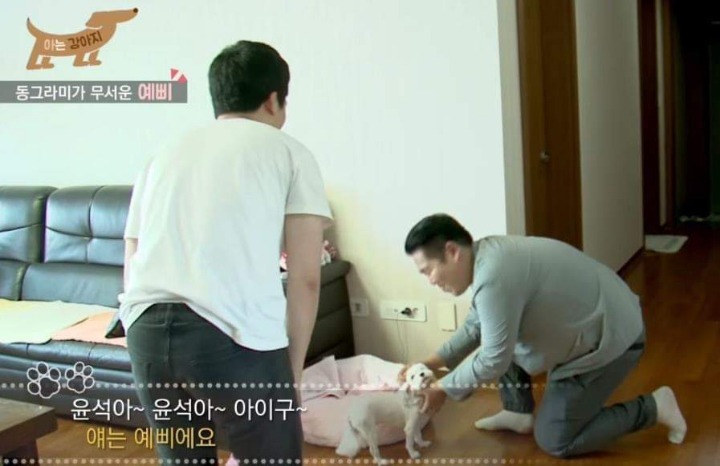 댕댕이 이름참사 | 인스티즈