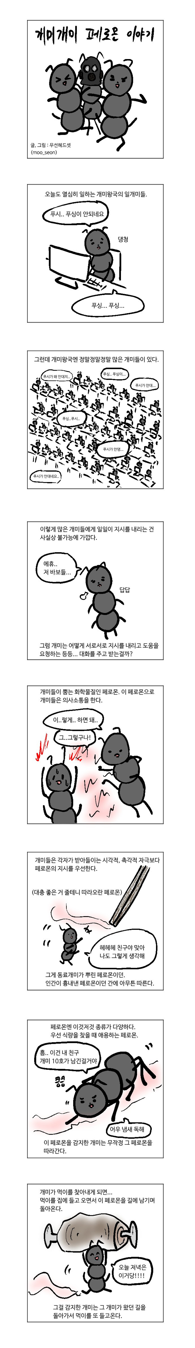 개미와 페로몬 이야기 | 인스티즈