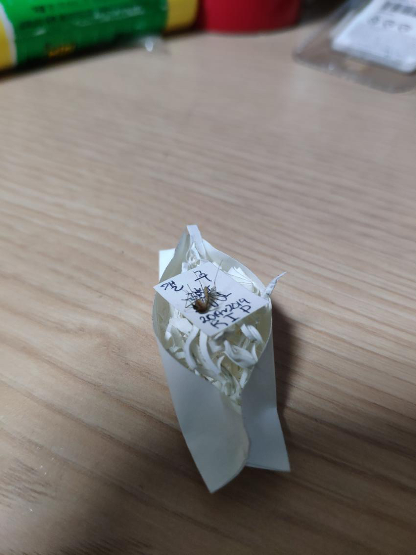 모기 새끼 다양하게 고문하는 모기 갤러리.jpgif | 인스티즈