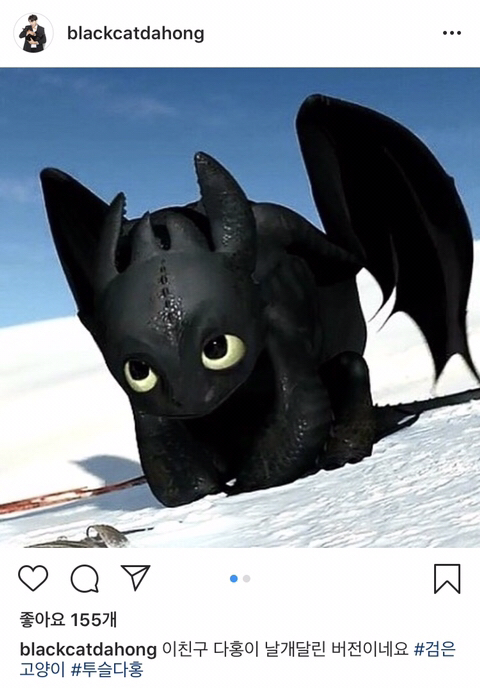 박수홍 고양이 냥스타그램 | 인스티즈