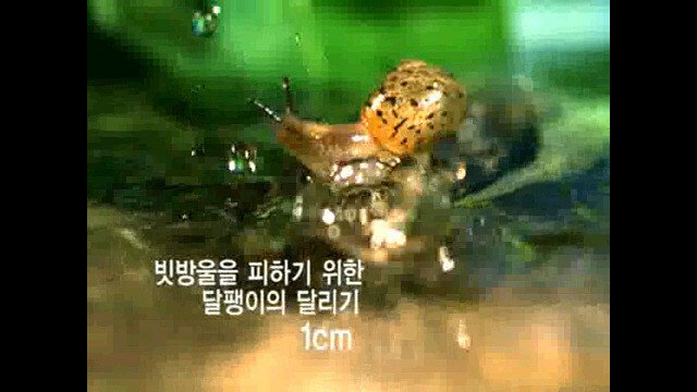 1초 동안 우주에서 벌어지는 일 | 인스티즈