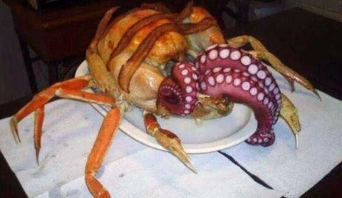 웃대 호쌍새 모음 | 인스티즈