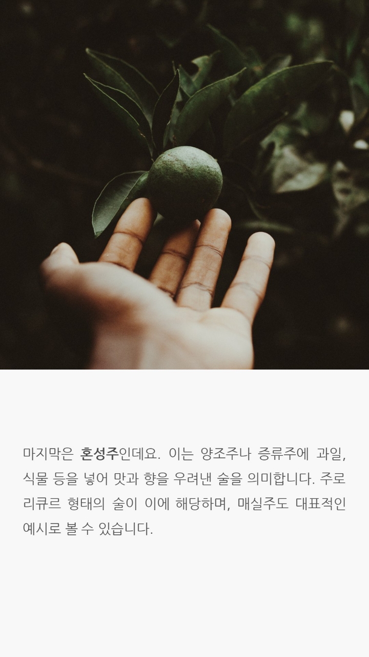 전세계적으로 인정받은 세가지술에 얽힌 이야기 | 인스티즈