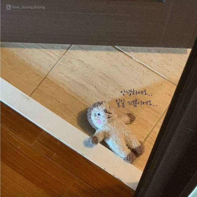 주인을 보호하기 위해 댕댕이가 하는 행동....jpg | 인스티즈