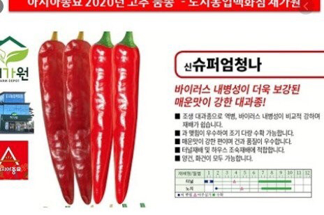 재미있는 고추 품종 이름들 | 인스티즈