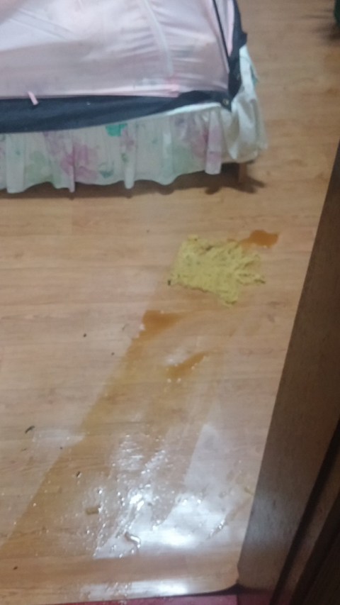 첫 포텐 도전하는 펨코인.jpg | 인스티즈