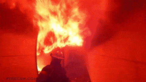 항상 남들과 반대로 걷는 사람들 | 인스티즈