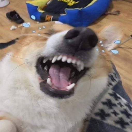 역지사지 | 인스티즈