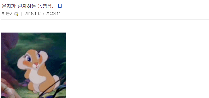 헬스갤러리 여갤러...하체운동 인증...GIF | 인스티즈