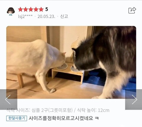 사이즈를 확인안하고 사면 생기는 일.jpg | 인스티즈