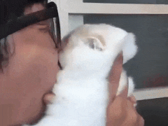 전생에 죄지은 고양이 | 인스티즈