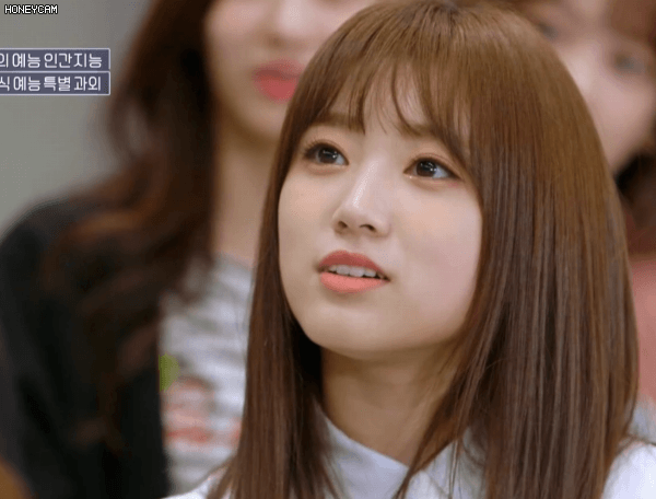예능 인간지능에 출연한 아이즈원 | 인스티즈