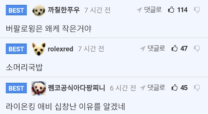 아메리카 들소 실제크기 (+ 반응) | 인스티즈