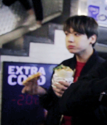 같이 여행 데리고 다니기 좋은 유형.gif | 인스티즈