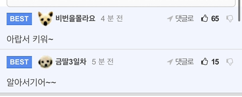 미국 도발하는 한국연예인.jpgtxt | 인스티즈