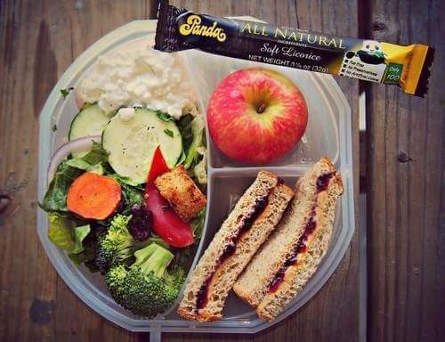 다이어터 도시락 | 인스티즈