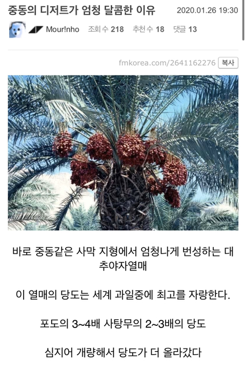 중동의 디저트가 엄청 달콤한 이유.eu | 인스티즈