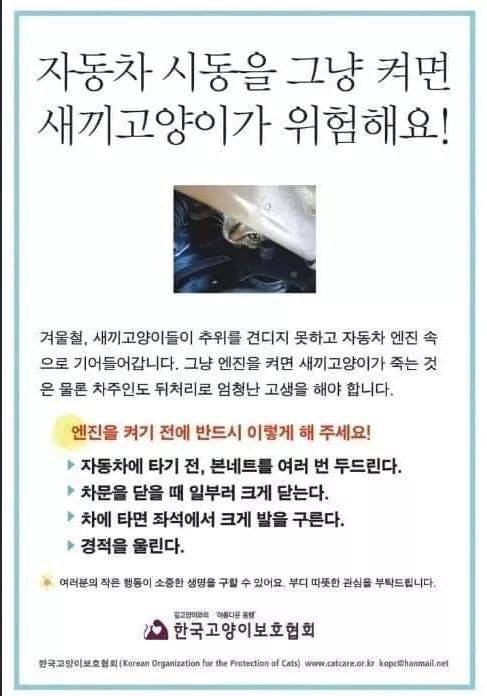 겨울철 운전하기 전 본네트를 두드려야 하는 이유 | 인스티즈