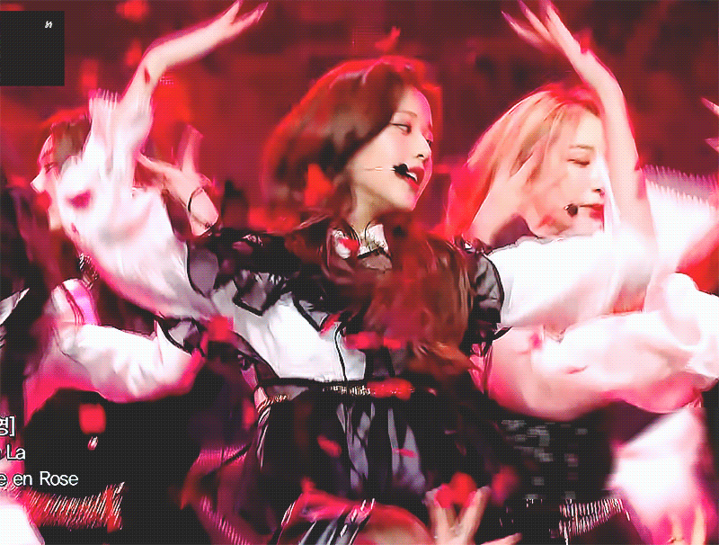 꽃 컨셉에 정점을 찍은 아이즈원 gif | 인스티즈