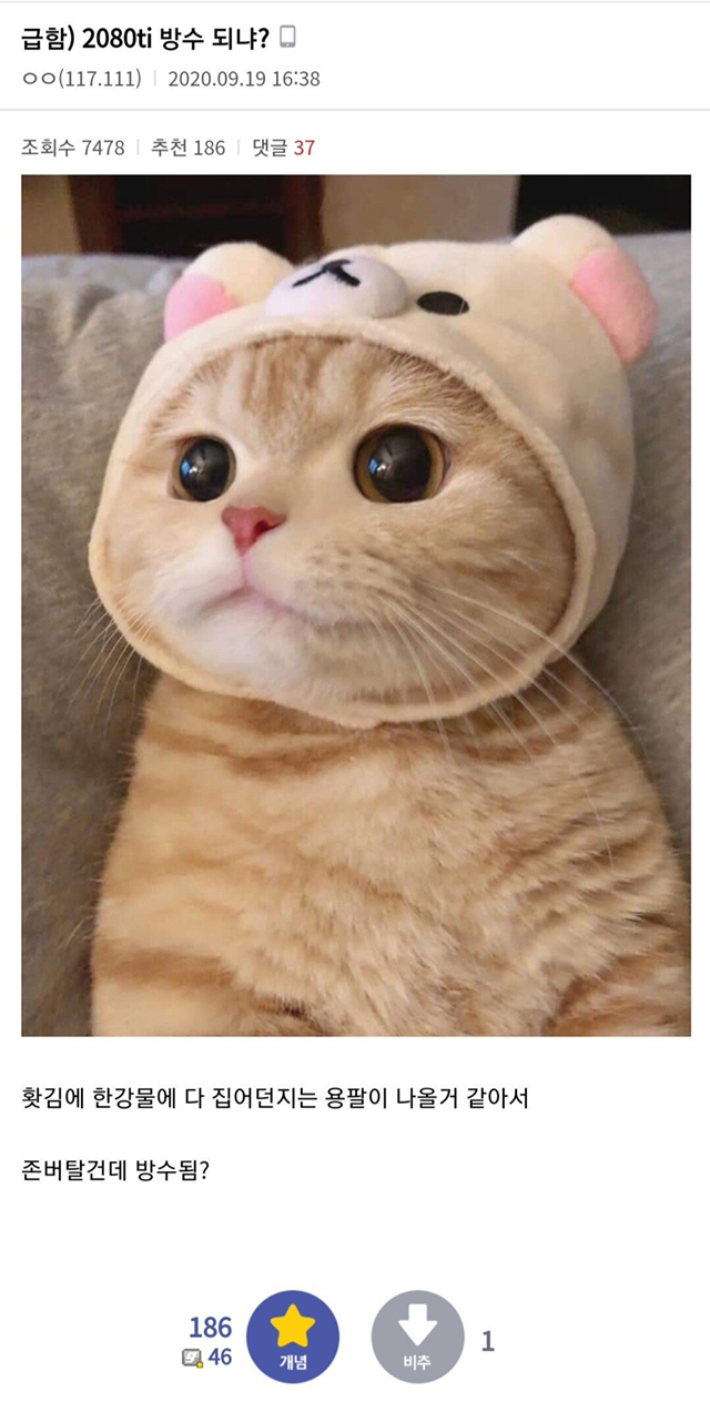 미쳐버린 컴갤.jpg | 인스티즈