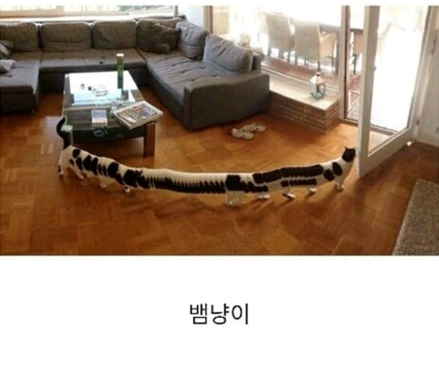 파노라마 사진 대참사 | 인스티즈