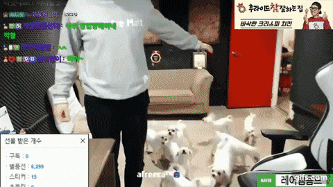 어느 한 bj의 별풍선 리액션.gif | 인스티즈