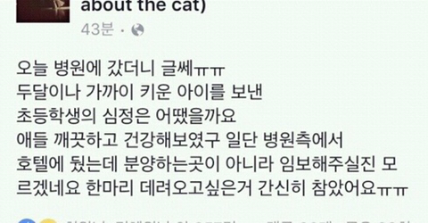 동물병원에 고양이를 보낸 초등학생 | 인스티즈