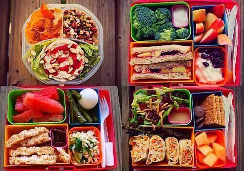 다이어터 도시락 | 인스티즈