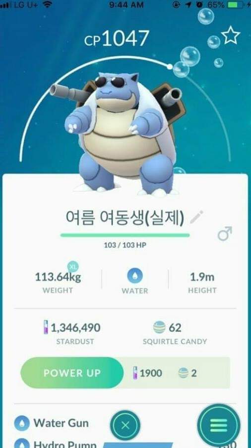 여동생을 포켓몬으로 비유 | 인스티즈