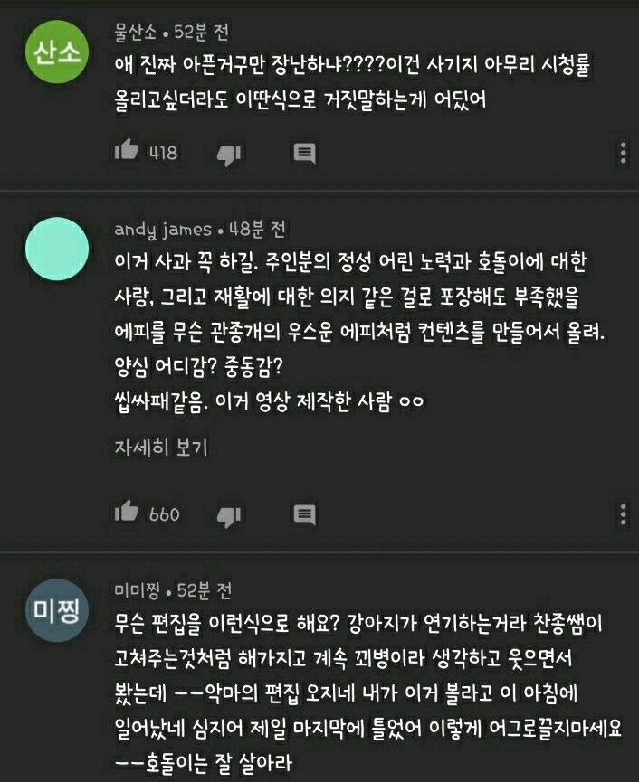 현재 본방 끝나고 호돌이 / 시청자 우롱 으로 논란 중인 동물농장 | 인스티즈