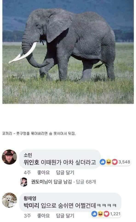 동물과 싸워서 이기는 방법ㅋㅋㅋㅋㅋㅋㅋㅋㅋㅋㅋㅋㅋㅋㅋㅋ | 인스티즈